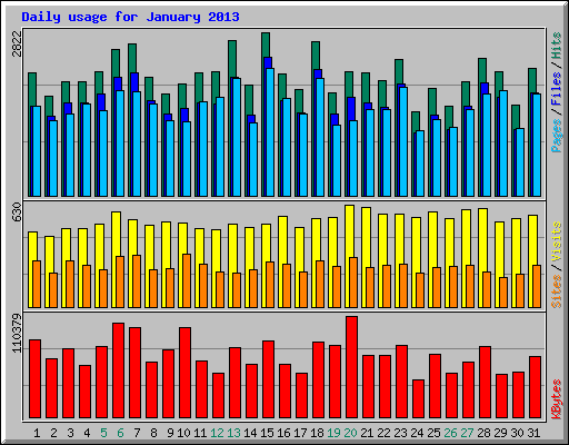 Daily usage for January 2013