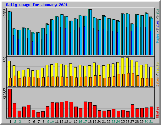 Daily usage for January 2021