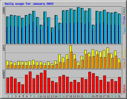 Daily usage for January 2022