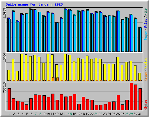 Daily usage for January 2023