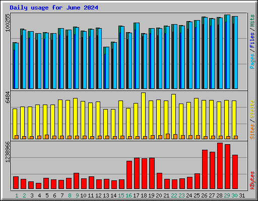 Daily usage for June 2024