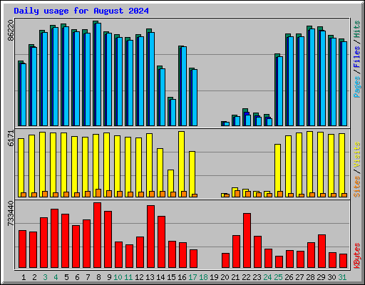 Daily usage for August 2024