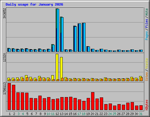 Daily usage for January 2026