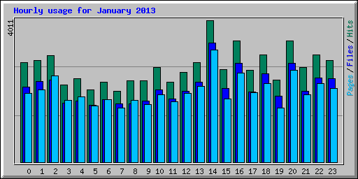 Hourly usage for January 2013