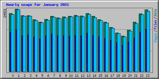 Hourly usage for January 2021