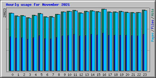 Hourly usage for November 2021
