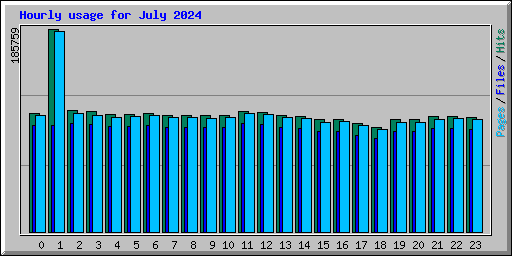 Hourly usage for July 2024