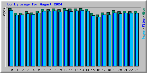 Hourly usage for August 2024