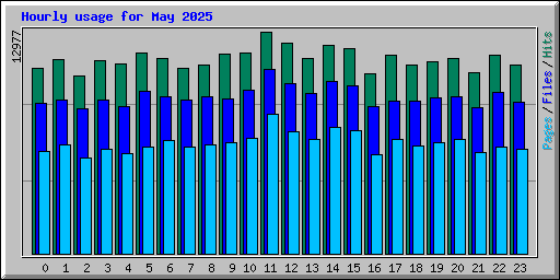 Hourly usage for May 2025