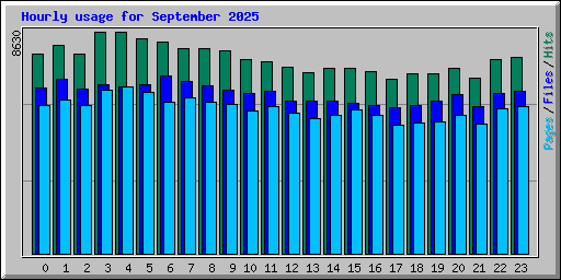 Hourly usage for September 2025