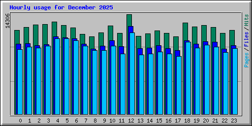 Hourly usage for December 2025