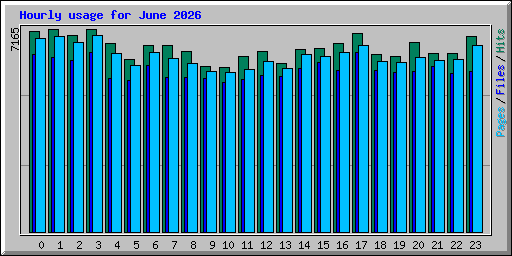 Hourly usage for June 2026
